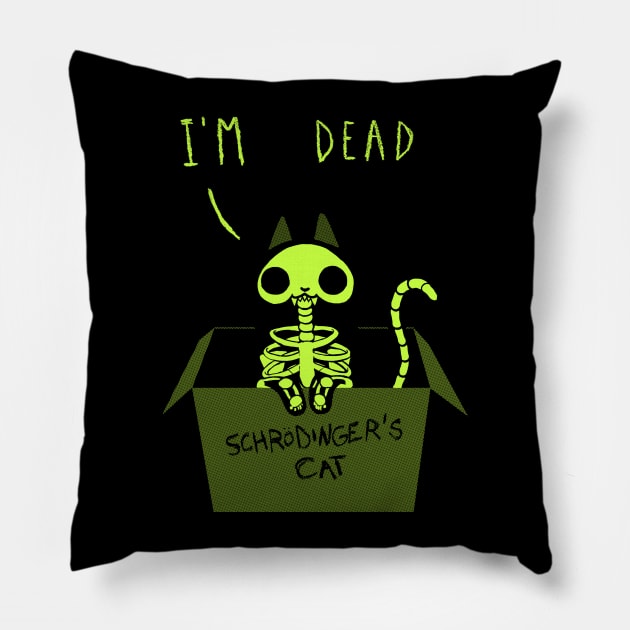 Schrödinger's Cat Dead or Alive - Night Cat in a Box - Funny Physics Pillow by BlancaVidal