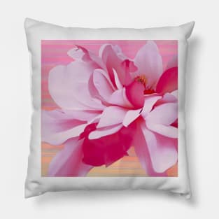 Fuchsia Petals Floral Pillow