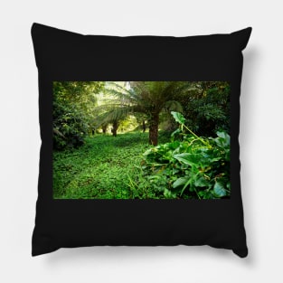 Ferny Glade, Warburton Pillow