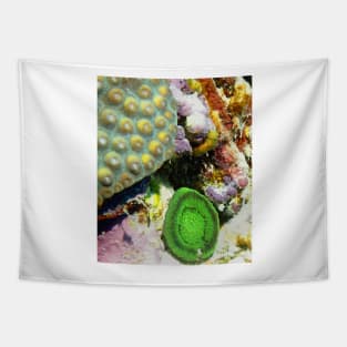 Emerald Green Artichoke Anemone on Coral Reef Wall Tapestry