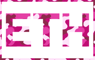 Ethereum Pink Camo Magnet