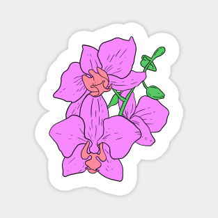 Pink Moth Orchid Hand Drawn Gardening Gift Magnet