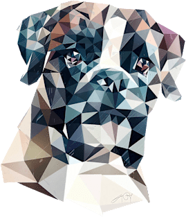 Boxer (Low Poly) Magnet