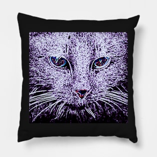 Cat Gazing Pillow