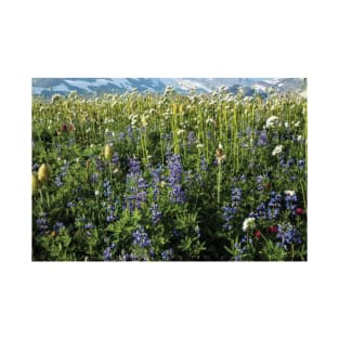 Close Up Of Wildflowers Mount Rainier National Park T-Shirt