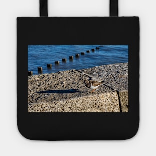 Ruddy turnstone Tote