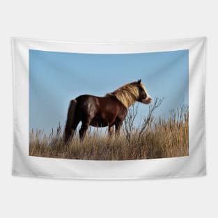 Assateague Beach Ponies Series - 03 Tapestry