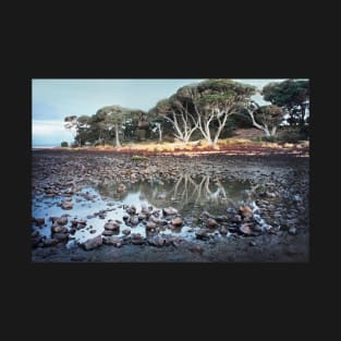 Pebbly beach, Phillip Island T-Shirt