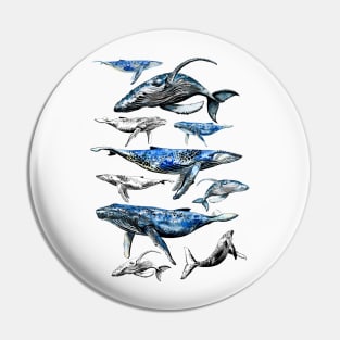 whales Pin