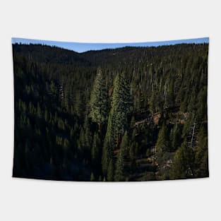 3 Giant Sequoias Tapestry