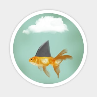 Goldfish Under a Cloud with a Shark Fin Magnet