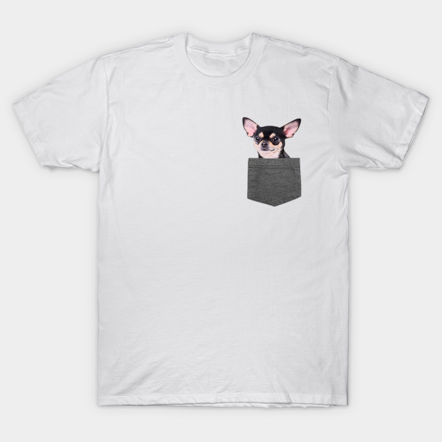 chihuahua in pocket t shirt