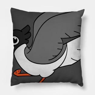 Gull Boy Pillow