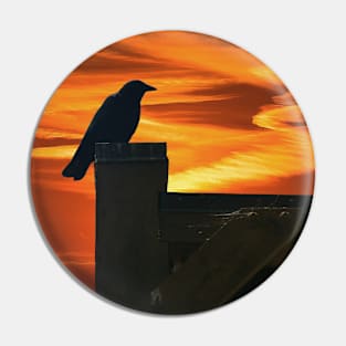 Blackbird at Sunset Pin