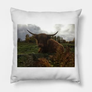 Scottish Highland Cattle Cow 2128 Pillow