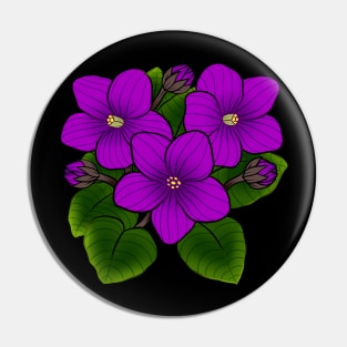 Purple African Violets in Black Pin