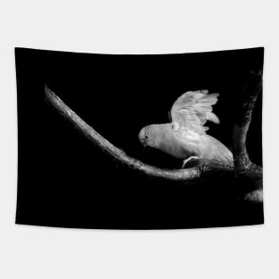 Flying Parakeet in Black and White Tapestry