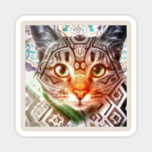 Bold Kitty Cat with a Batik Pattern Magnet