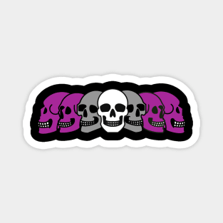 Pride Skulls Graysexual Magnet