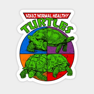 Adult Normal Healthy Turtles Magnet