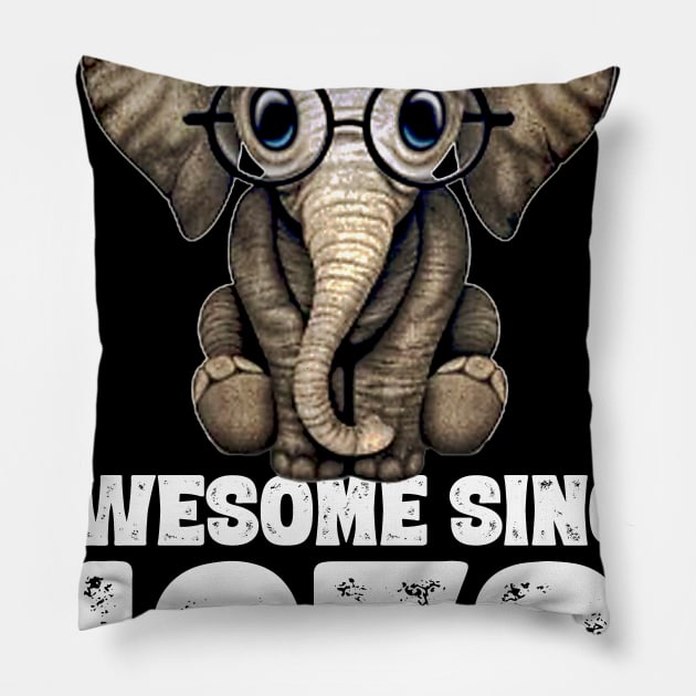 Awesome since 1972 48 Years Old Bday Gift 48th Birthday Pillow by DoorTees