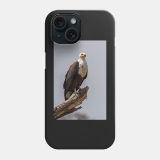 African Fish Eagle Phone Case