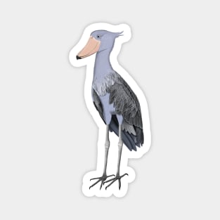 Shoebill Bird Birdlover Birdwatcher Animal Biologist Magnet