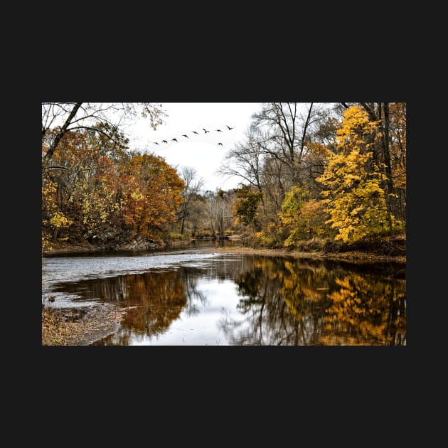 Fall At Tyler State Park by JimDeFazioPhotography