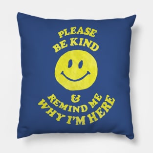 Please Be Kind Pillow