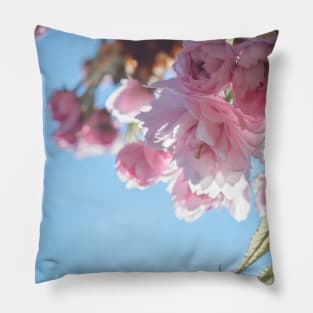 Sakura Pillow