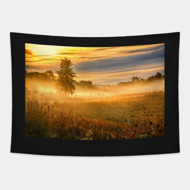 Morning Mist Over Country Road Tapestry by Robert Alsop