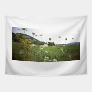 Queen Anne's Lace - Lomo Belair Photograph Tapestry