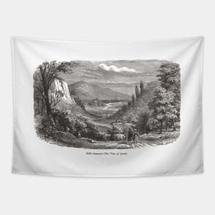 Vale of Avoca, County Wicklow, Ireland, 19th century engraving Tapestry