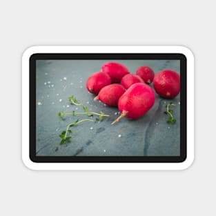 Fresh radishes on vintage background Magnet