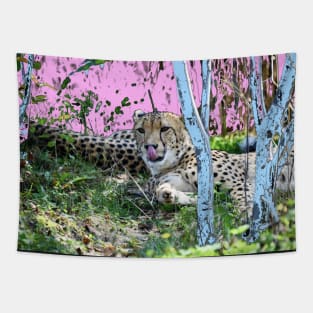 Gepard / Swiss Artwork Photography Tapestry