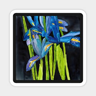 Wild Dwarf Irises Watercolor on Yupo Magnet