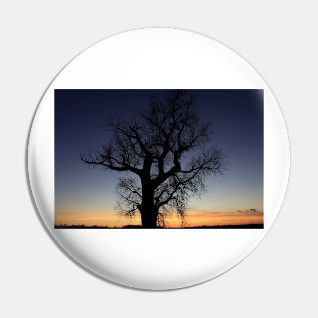 Kansas colorful Sunset with a Tree Silhouette out in the country Pin by ROBERTDBROZEK