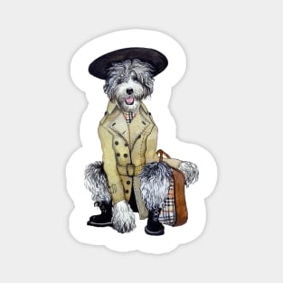 Sheepadoodle wearing trenchcoat Magnet