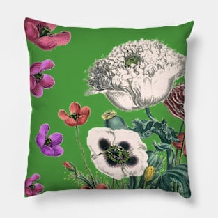 Spring Pillow