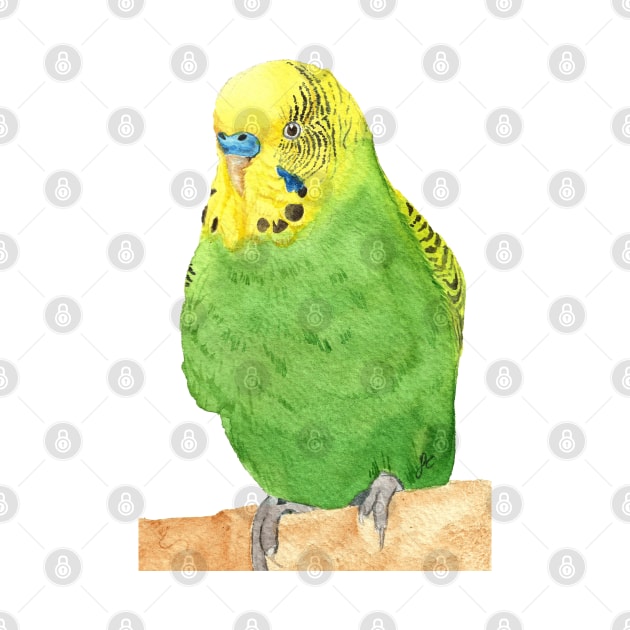 budgie bird parrot watercolor by Oranjade0122