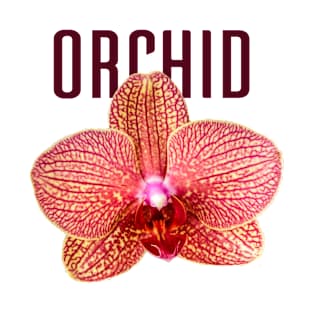 Yellow Orchid with Red Veins with Text T-Shirt