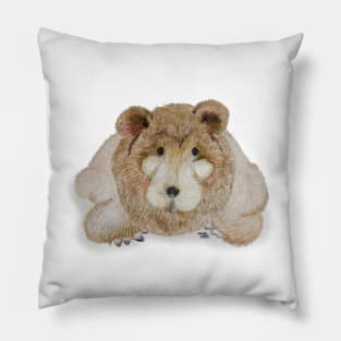 Brown bear Pillow