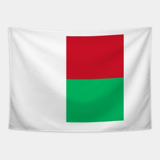 Madagascar flag Tapestry