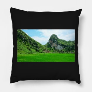 Vietnam - Route de Ha Giang à Dong Van. Plateau karstique Pillow