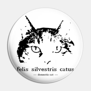 felis silvestris catus - domestic cat Pin