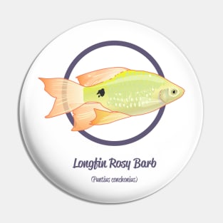 Longtail Rosy Barb Pin