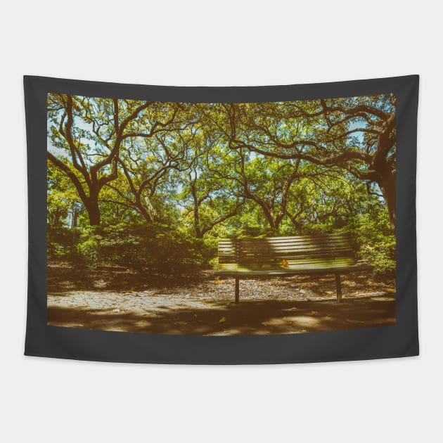 Pulaski Square Bench Savannah Tapestry by Gestalt Imagery