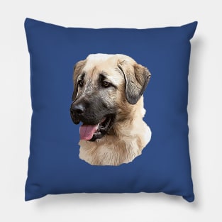 Kangal Shepherd Pillow