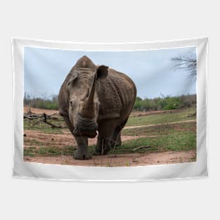 Rhinoceros Tapestry