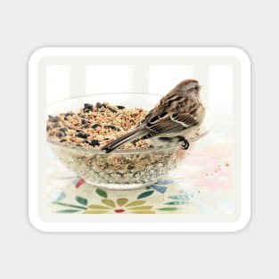 Seeds to Savour  No.1 Sparrow Magnet